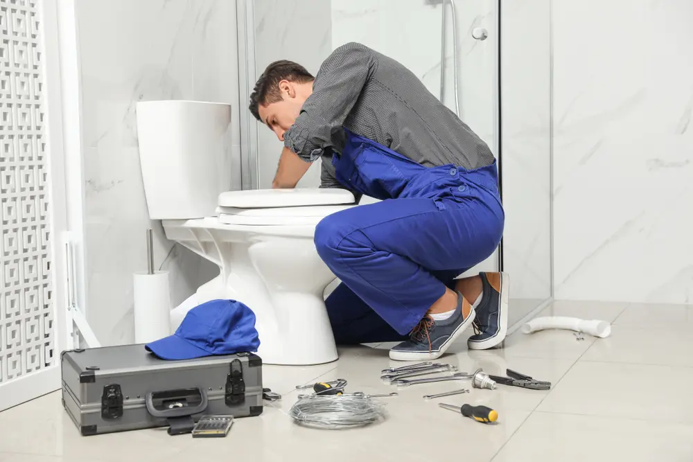 Toilet Repair in Loma Linda West